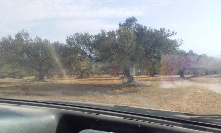 TERRAIN EL MASRY